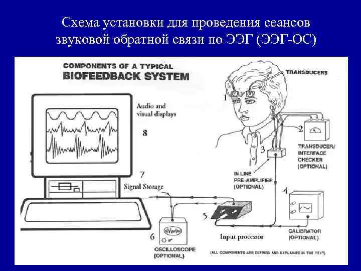 Схема установки для проведения сеансов звуковой обратной связи по ЭЭГ (ЭЭГ-ОС) 31 