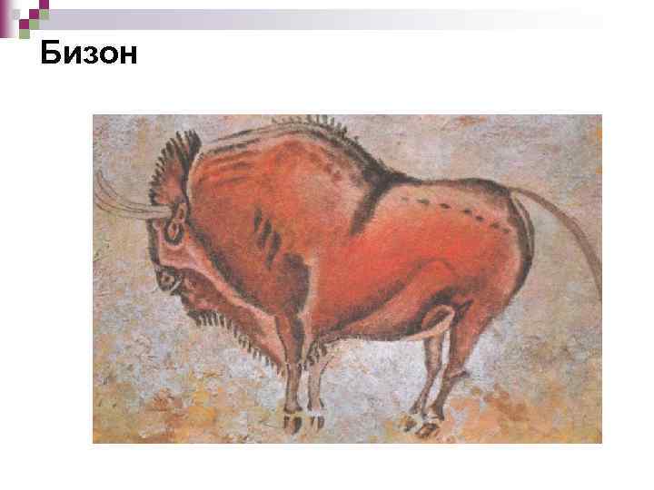 Бизон 