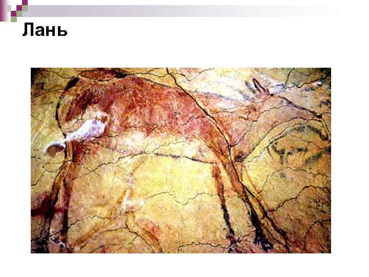Лань 