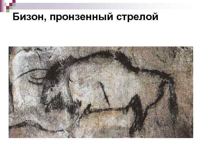 Бизон, пронзенный стрелой n . 