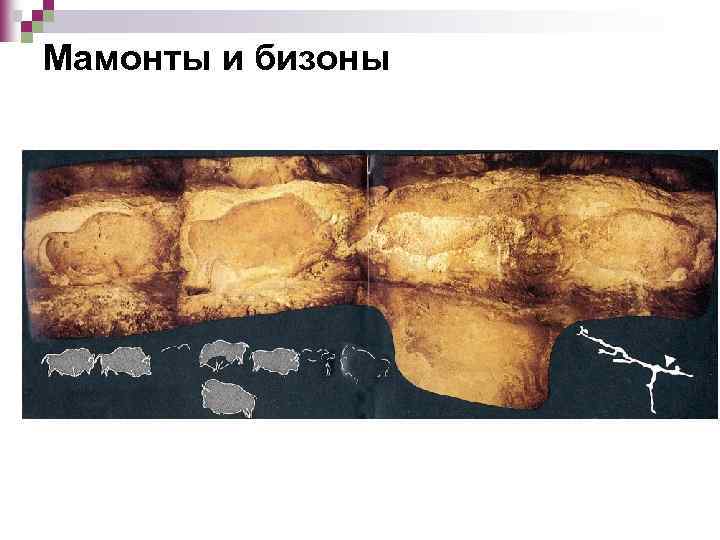 Мамонты и бизоны 