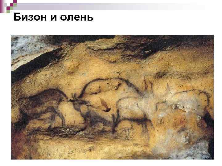 Бизон и олень 