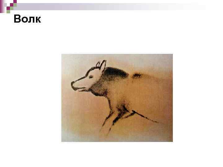 Волк 