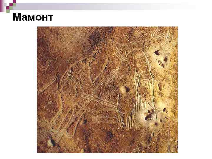 Мамонт 
