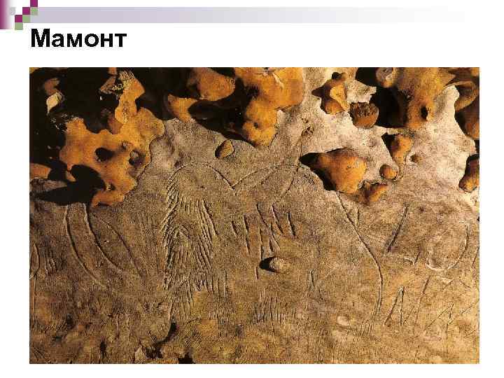 Мамонт 