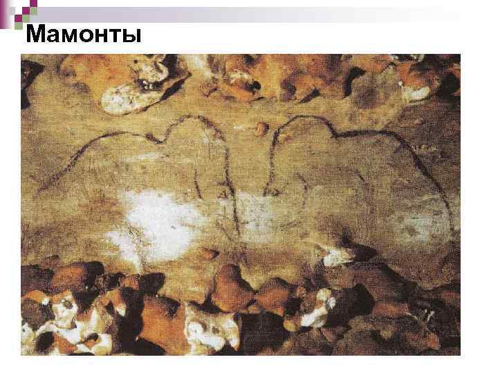 Мамонты 