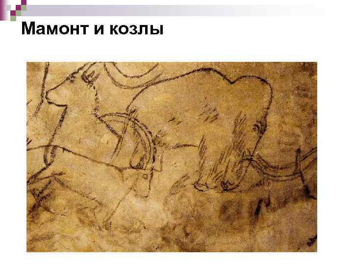 Мамонт и козлы 