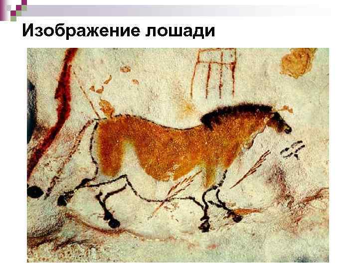 Изображение лошади 