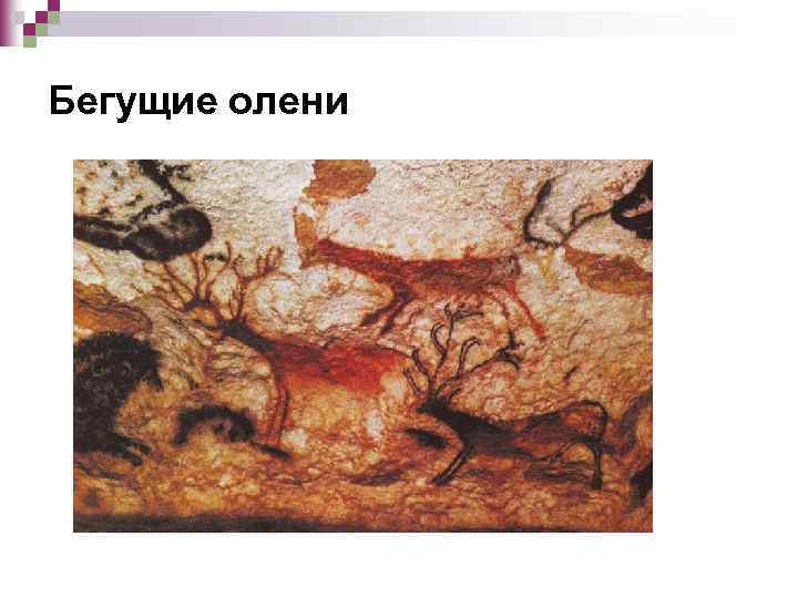 Бегущие олени 