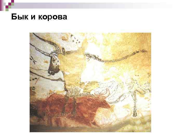 Бык и корова 