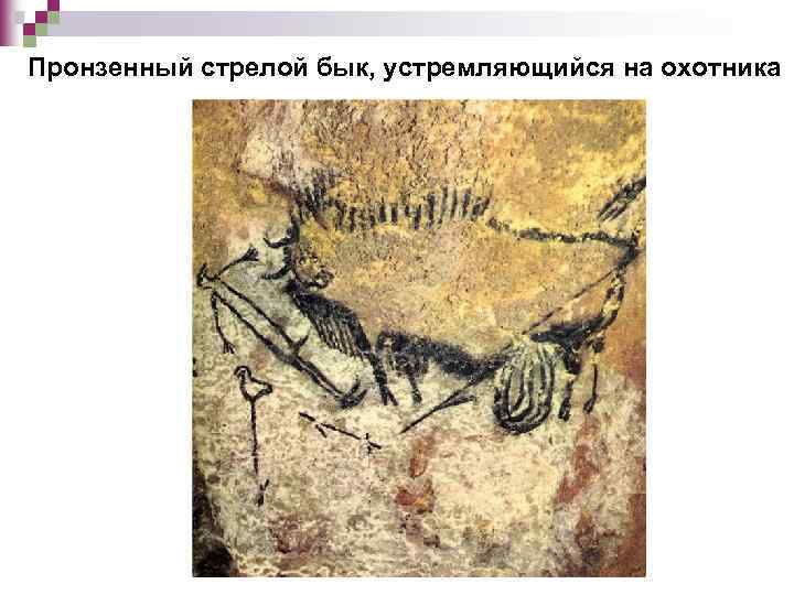 Пронзенный стрелой бык, устремляющийся на охотника 