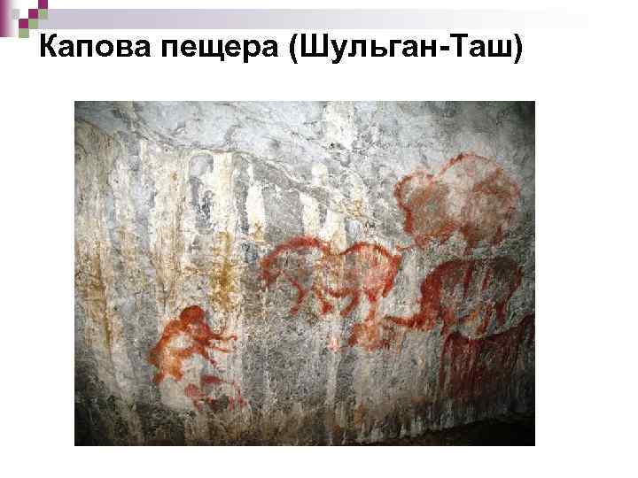 Капова пещера (Шульган-Таш) 