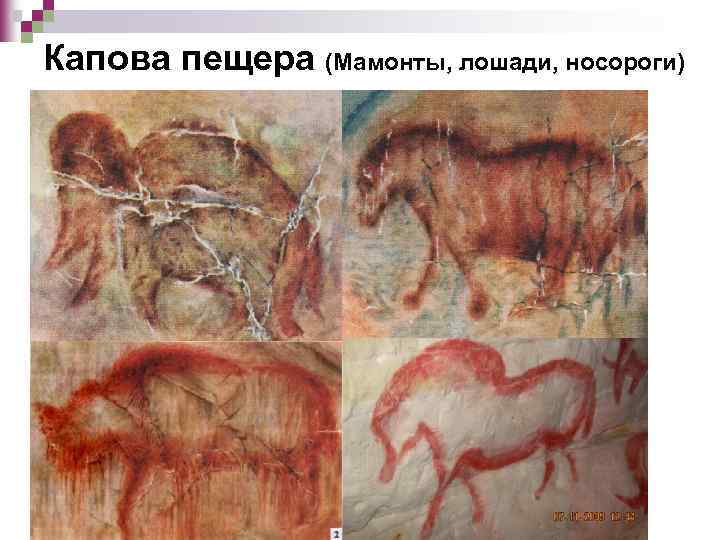 Рисунки мамонта в пещерах