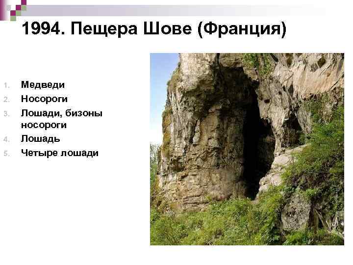 1994. Пещера Шове (Франция) 1. 2. 3. 4. 5. Медведи Носороги Лошади, бизоны носороги