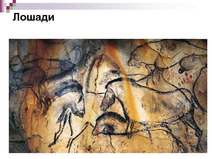 Лошади 