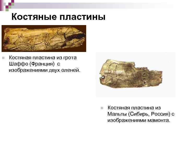 Костяные пластины n Костяная пластина из грота Шаффо (Франция) с изображениями двух оленей. n