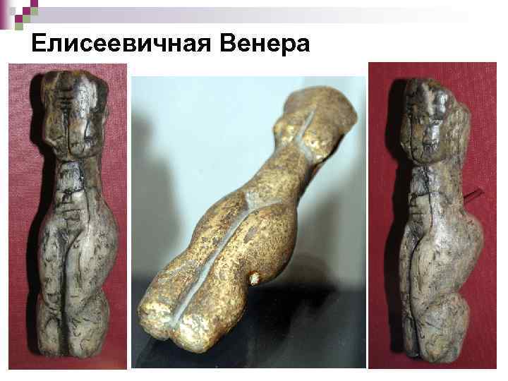 Елисеевичная Венера 