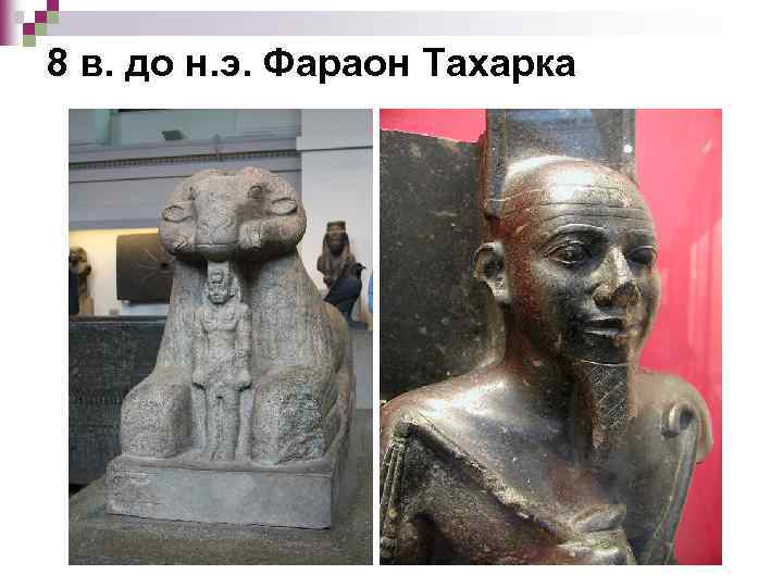 8 в. до н. э. Фараон Тахарка 