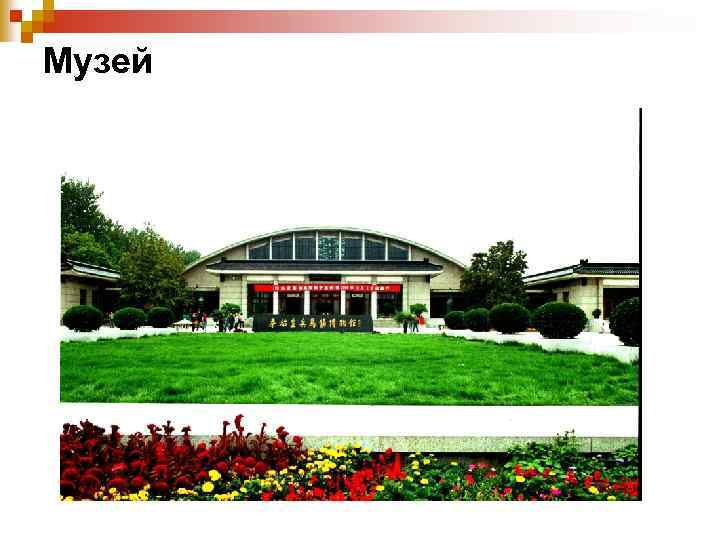 Музей 