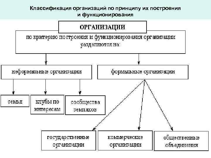 Учреждения организации предприятия презентация