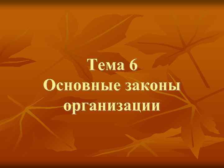 Тема 6 Основные законы организации 