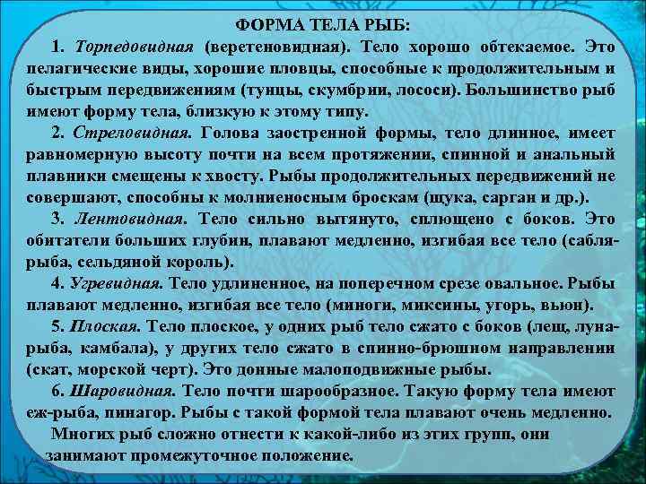 ФОРМА ТЕЛА РЫБ: 1. Торпедовидная (веретеновидная). Тело хорошо обтекаемое. Это пелагические виды, хорошие пловцы,