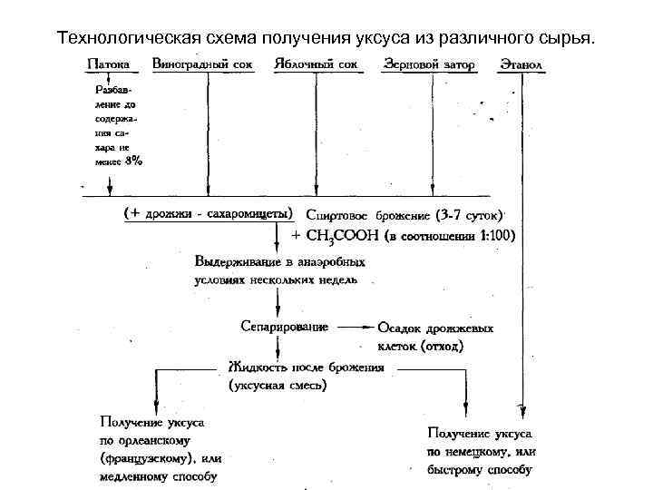 Пропионовокислое брожение схема