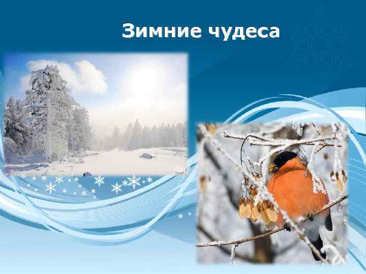 Зимние чудеса 