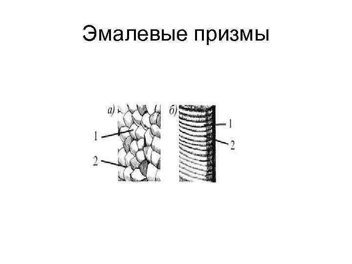 Эмалевые призмы 