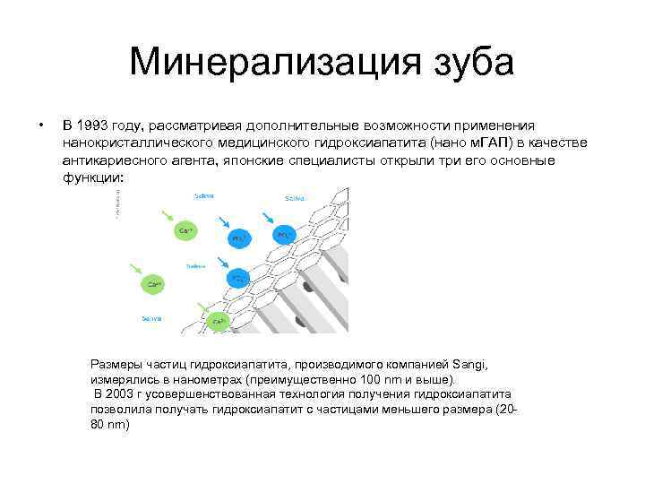 Минерализация зуба • В 1993 году, рассматривая дополнительные возможности применения нанокристаллического медицинского гидроксиапатита (нано
