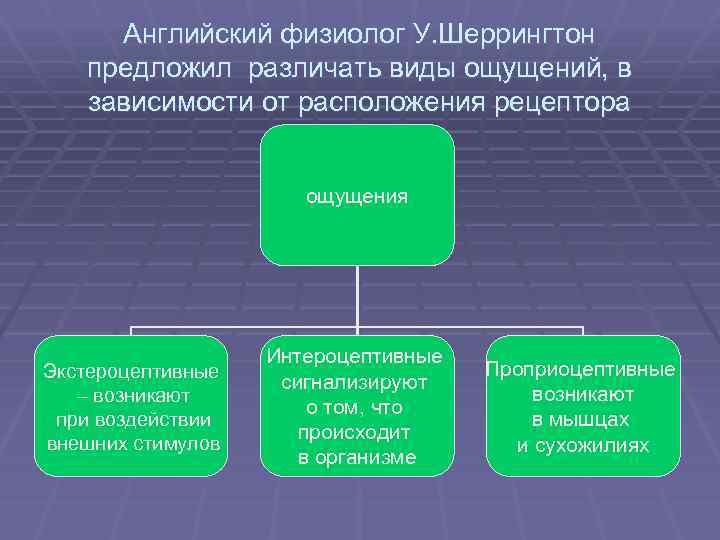 Английский физиолог У. Шеррингтон предложил различать виды ощущений, в зависимости от расположения рецептора ощущения