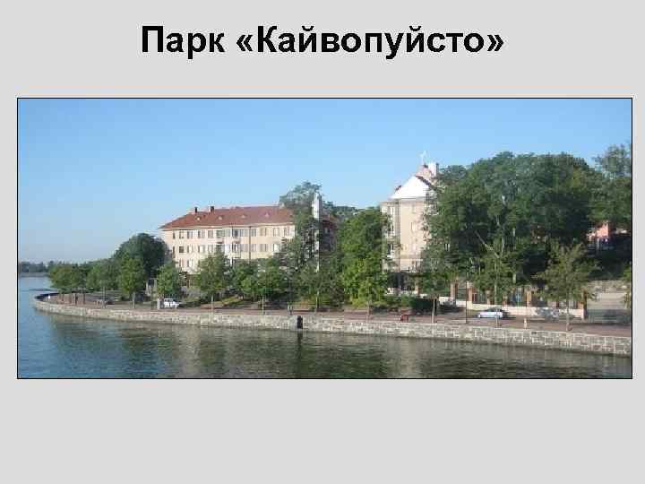 Парк «Кайвопуйсто» 