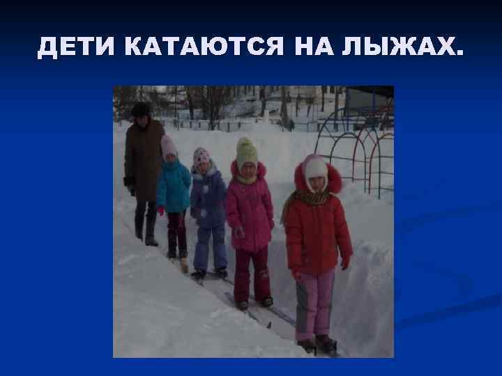 ДЕТИ КАТАЮТСЯ НА ЛЫЖАХ. 