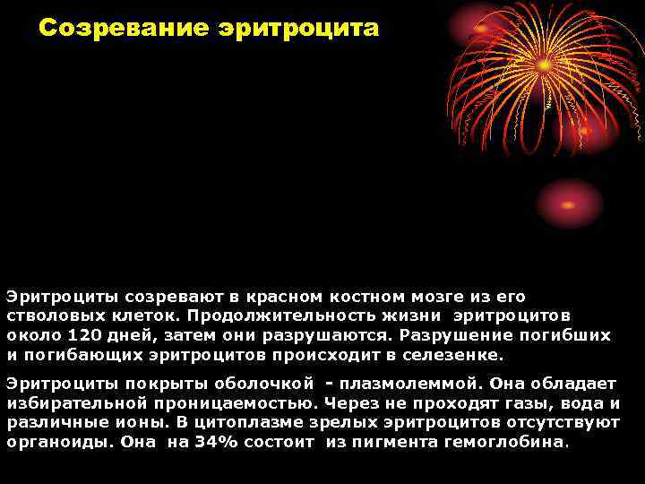 Созревание эритроцита Эритроциты созревают в красном костном мозге из его стволовых клеток. Продолжительность жизни