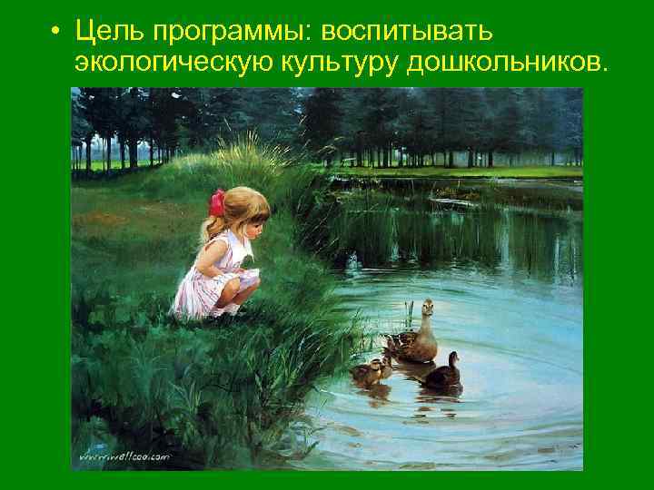  • Цель программы: воспитывать экологическую культуру дошкольников. 