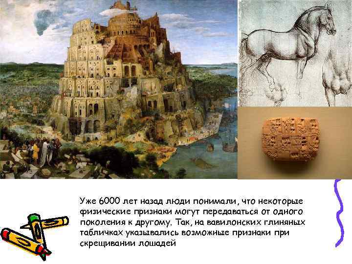 Уже 6000 лет назад люди понимали, что некоторые физические признаки могут передаваться от одного