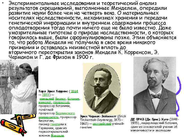  • Экспериментальные исследования и теоретический анализ результатов скрещиваний, выполненные Менделем, опередили развитие науки
