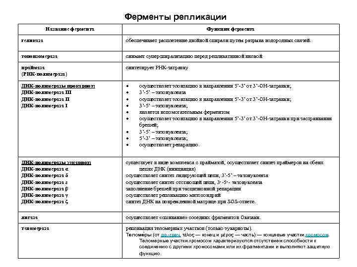 Ферменты репликации Название фермента Функция фермента геликаза обеспечивает расплетение двойной спирали путем разрыва водородных
