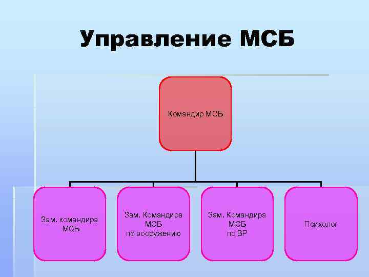 Управление МСБ Командир МСБ Зам. командира МСБ Зам. Командира МСБ по вооружению Зам. Командира