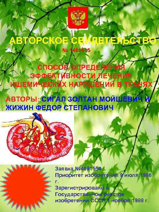 АВТОРСКОЕ СВИДЕТЕЛЬСТВО № 1461415 СПОСОБ ОПРЕДЕЛЕНИЯ ЭФФЕКТИВНОСТИ ЛЕЧЕНИЯ ИШЕМИЧЕСКИХ НАРУШЕНИЙ В ТКАНЯХ АВТОРЫ: СИГАЛ