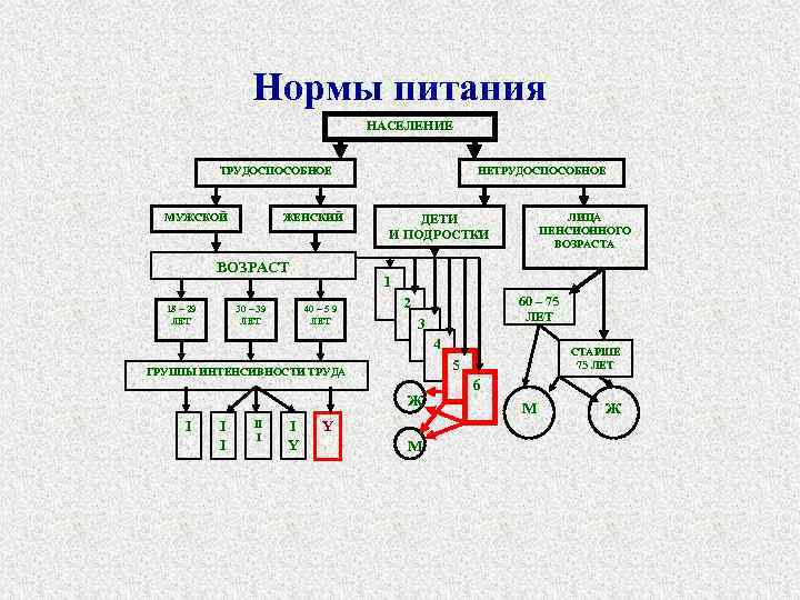 Нормы питания НАСЕЛЕНИЕ ТРУДОСПОСОБНОЕ МУЖСКОЙ ЖЕНСКИЙ ВОЗРАСТ 18 – 29 ЛЕТ 30 – 39