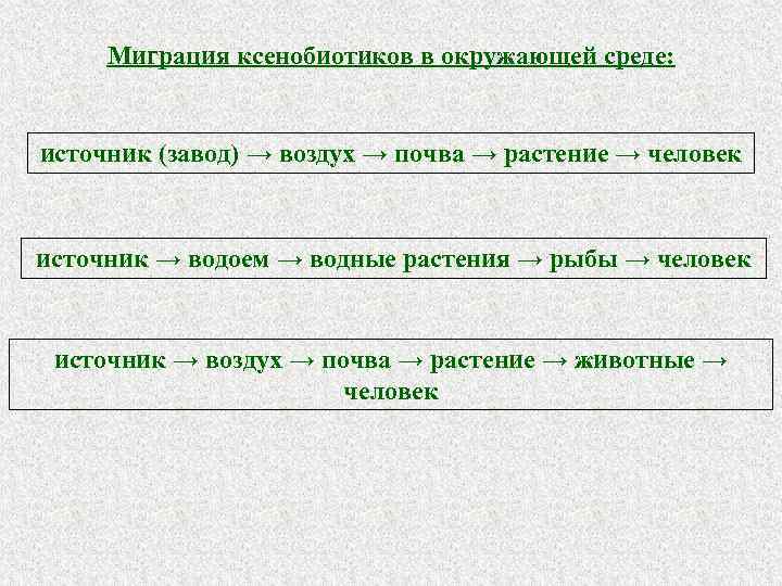 Миграция ксенобиотиков в окружающей среде: источник (завод) → воздух → почва → растение →