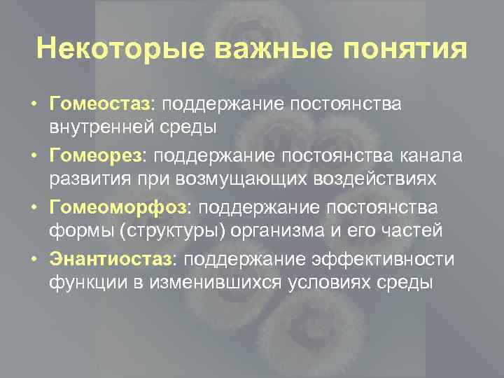 Одним из важных понятий. Понятие о гомеостазе. Понятие о гомеостазе и внутренней среде организма. Понятия о внутренней среде: гомеостаз и гомеокинез. Гомеорез физиология.