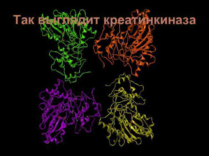 Так выглядит креатинкиназа 