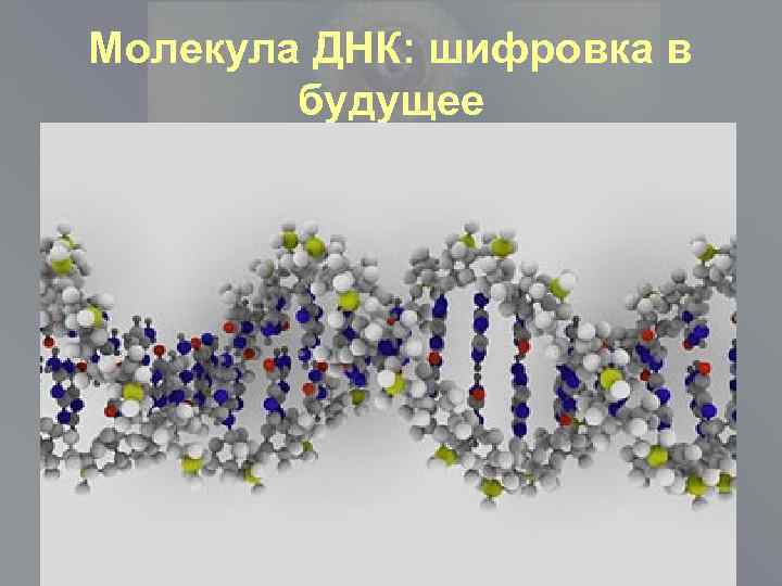 Молекула ДНК: шифровка в будущее 