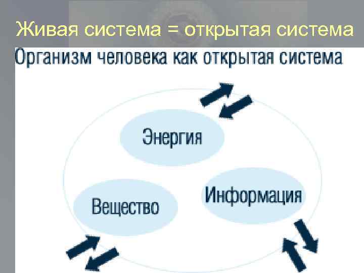 Организм это живая система. Открытая Живая система. Организмы открытые системы. Организм открытая Живая система. Живые организмы как открытые системы.