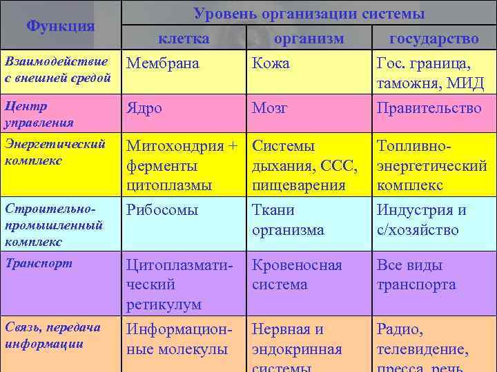 Уровень организации системы Функция клетка организм государство Взаимодействие Мембрана Кожа Гос. граница, с внешней