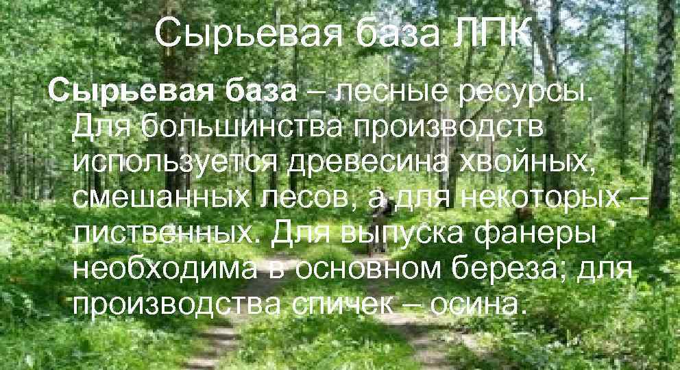 Сырьевая база ЛПК Сырьевая база – лесные ресурсы. Для большинства производств используется древесина хвойных,