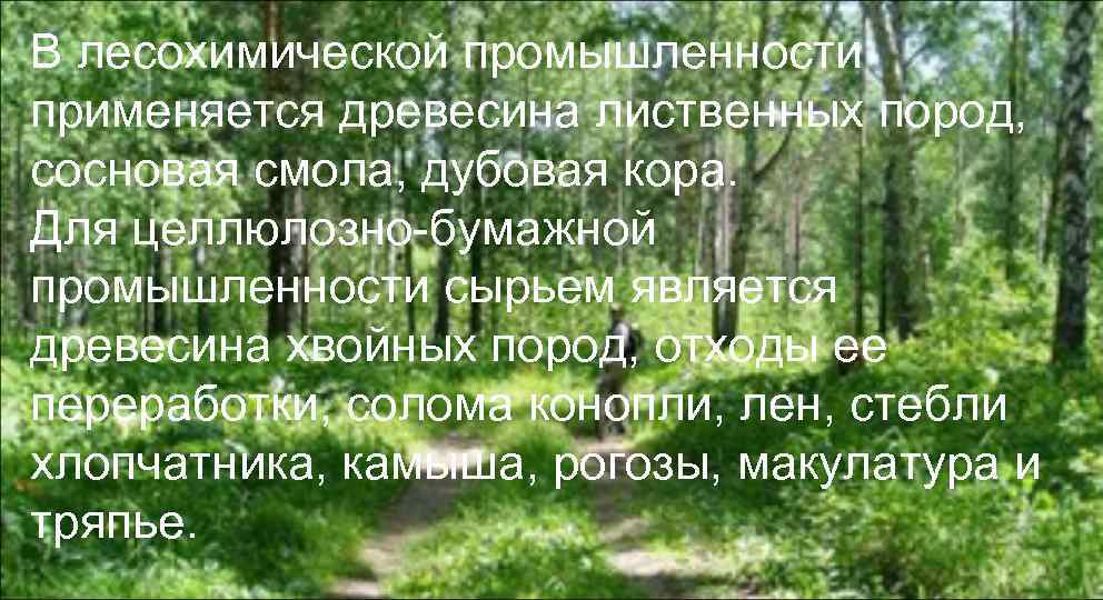В лесохимической промышленности применяется древесина лиственных пород, сосновая смола, дубовая кора. Для целлюлозно-бумажной промышленности