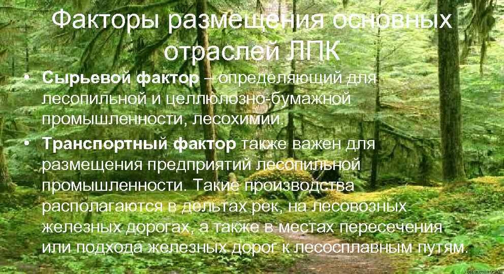 Факторы размещения основных отраслей ЛПК • Сырьевой фактор – определяющий для лесопильной и целлюлозно-бумажной